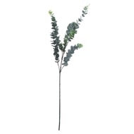 Artificial Silver Dollar Eucalyptus Stem – Recipe Collection