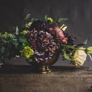 Autumn Hydrangea