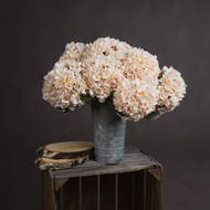 Autumn Hydrangea Cream