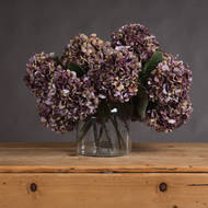Autumn Hydrangea