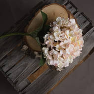 Autumn Hydrangea Cream